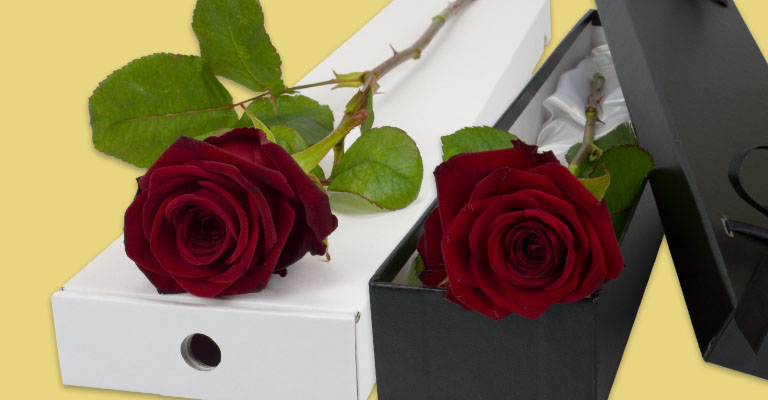 Our roses come in a range of styles