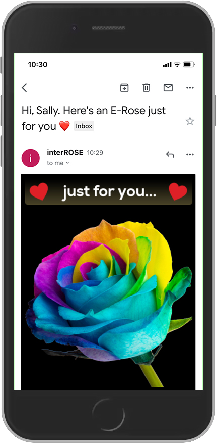 E-Rose email