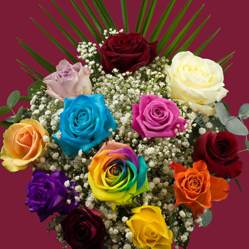 Buy Blue Roses Online with Free Delivery from interROSE