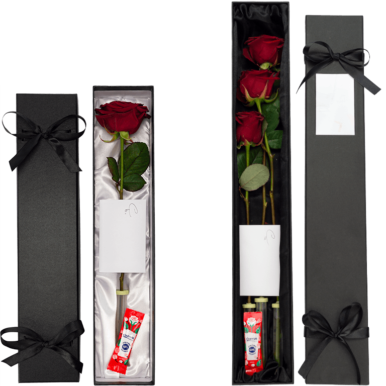 Purple Roses  Black Love Box – The One Roses