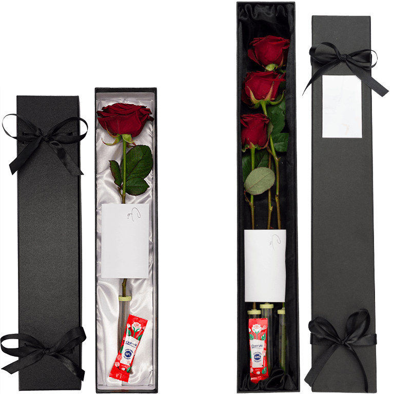 Single Rose Presentation Styles | interROSE