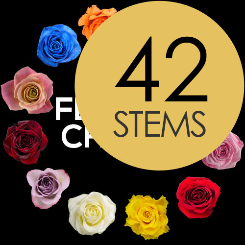 42 Florist Choice Roses