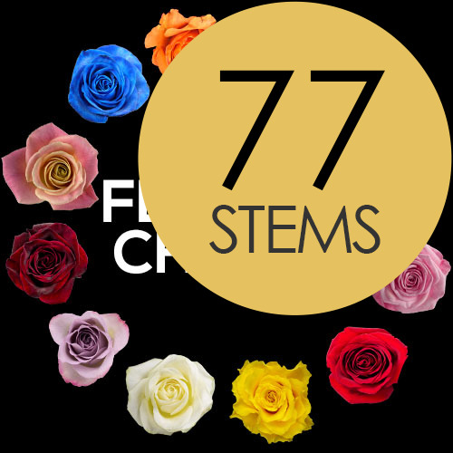 77 Florist Choice Roses