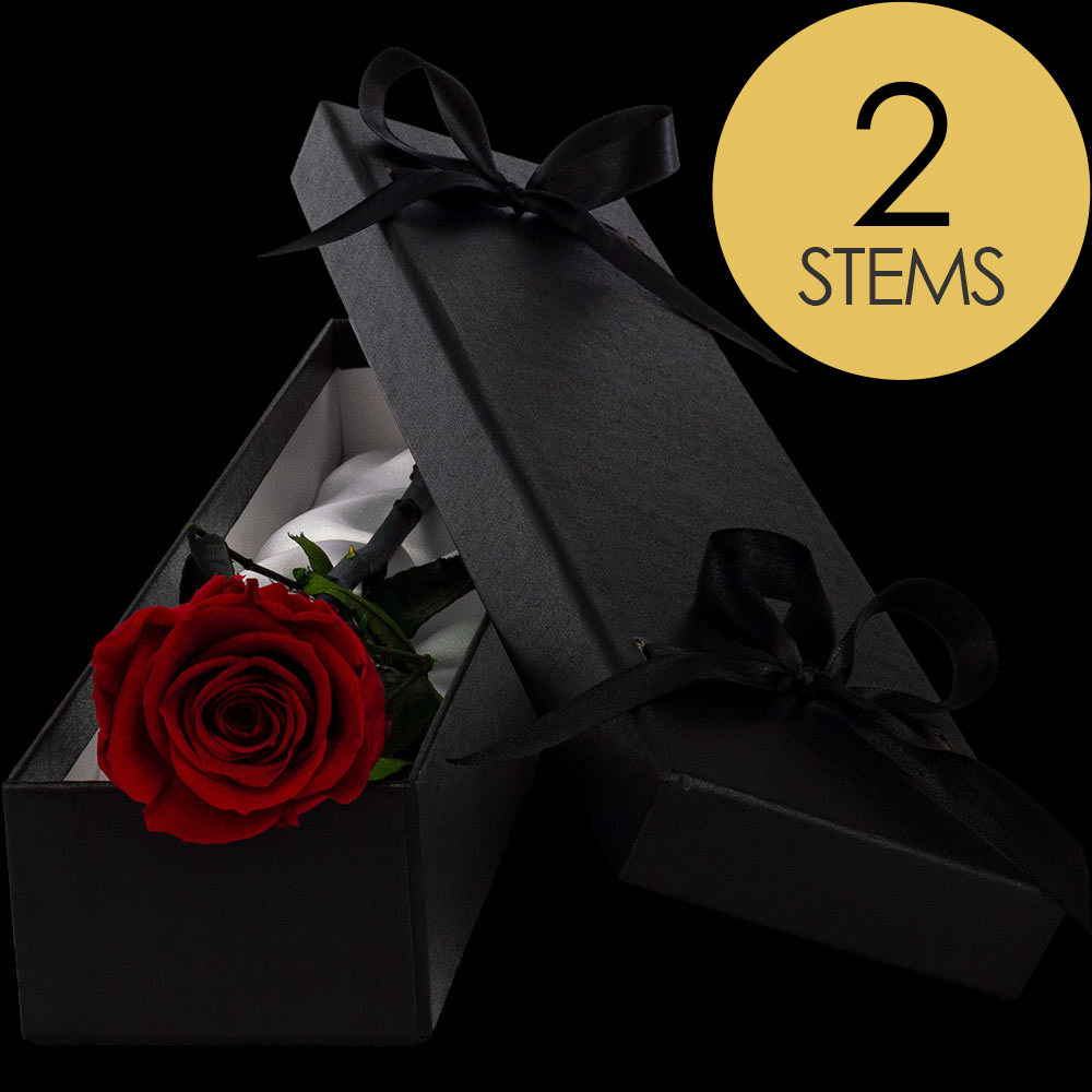 Infinity Roses from £24.99 Send or Buy Infinity Roses UK wide Today