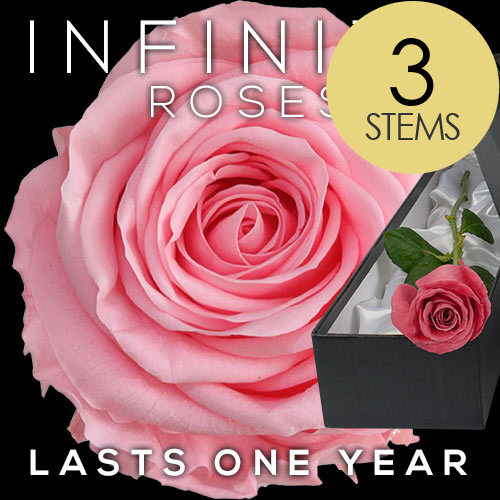 Infinity Roses from £24.99 Send or Buy Infinity Roses UK wide Today interROSE