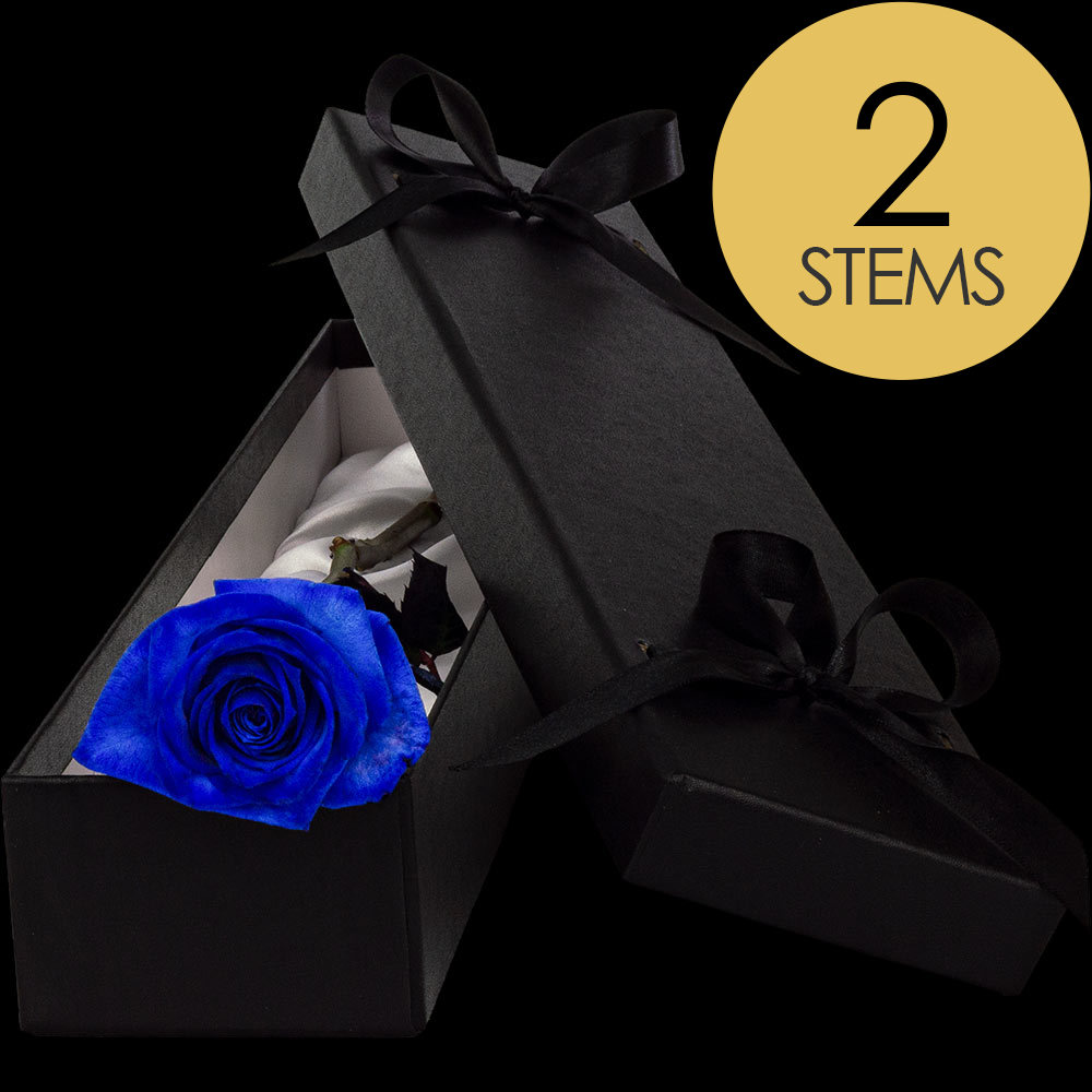 2 Luxury Blue (Dyed) Roses