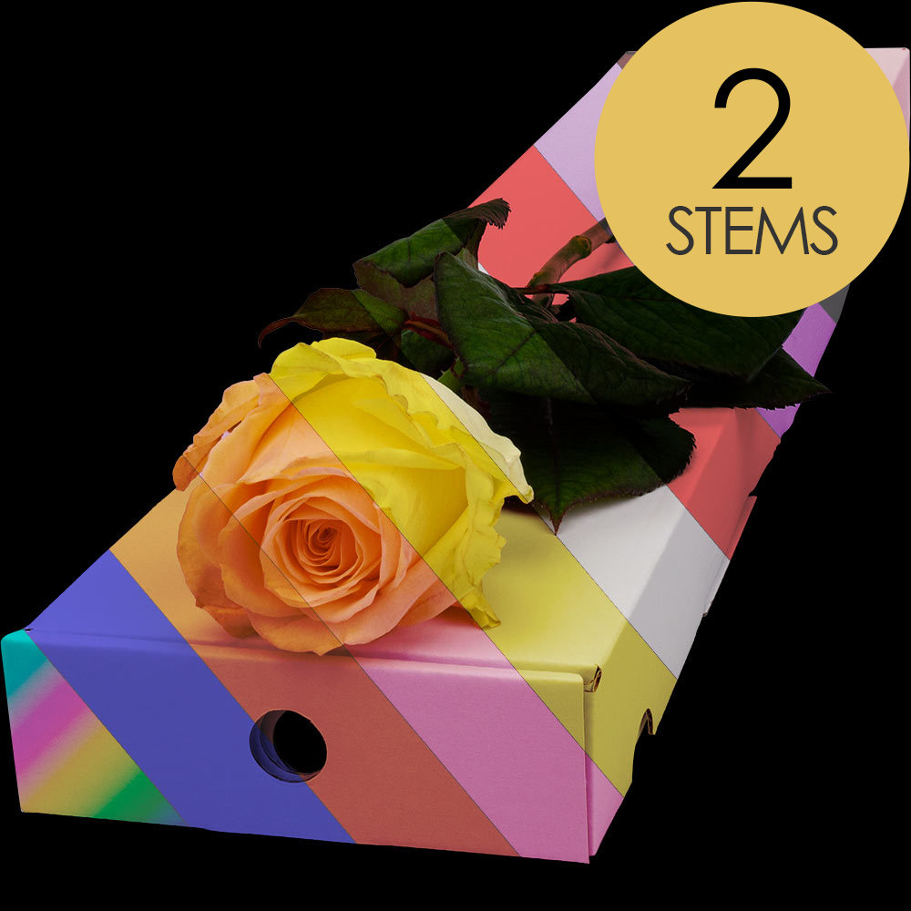 2 Letterbox Customised Roses