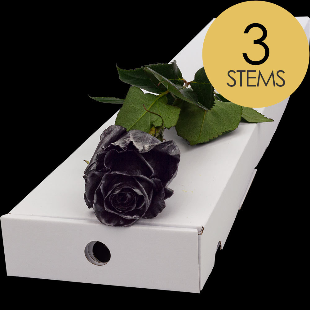 Black Roses Tinted From 99p Buy Send Black Roses Black Rose Delivery Uk And Worldwide Interrose
