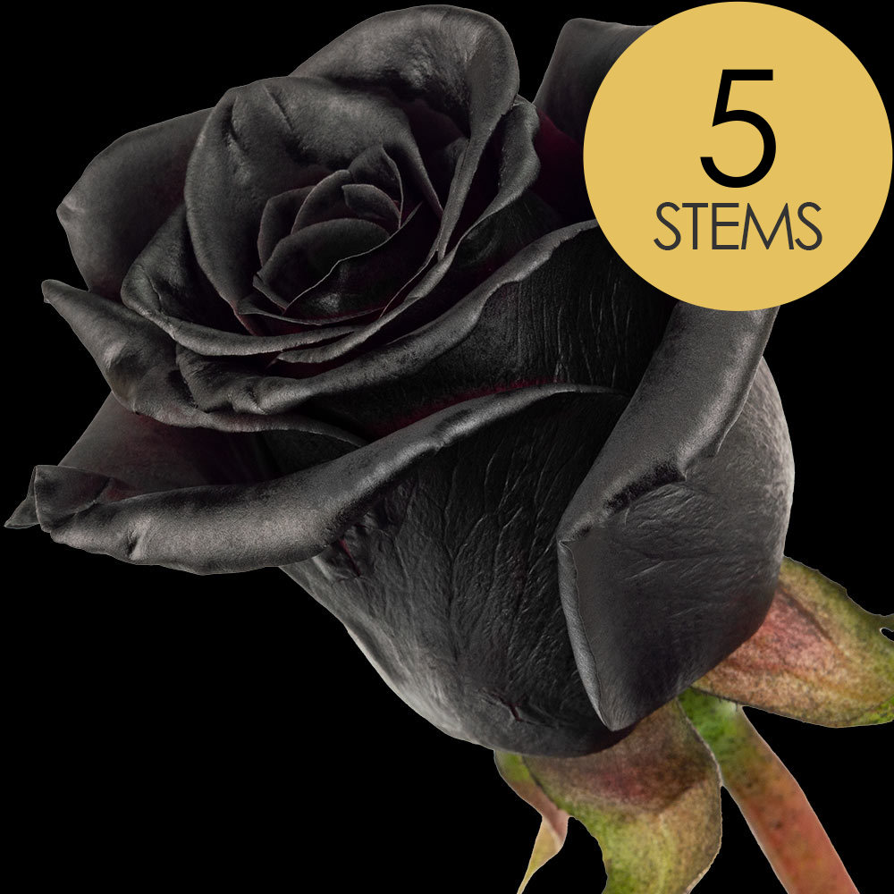 5 Black (Dyed) Roses