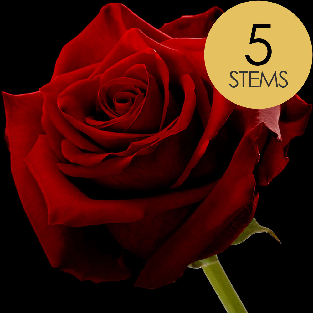 5 Red (Naomi) Roses