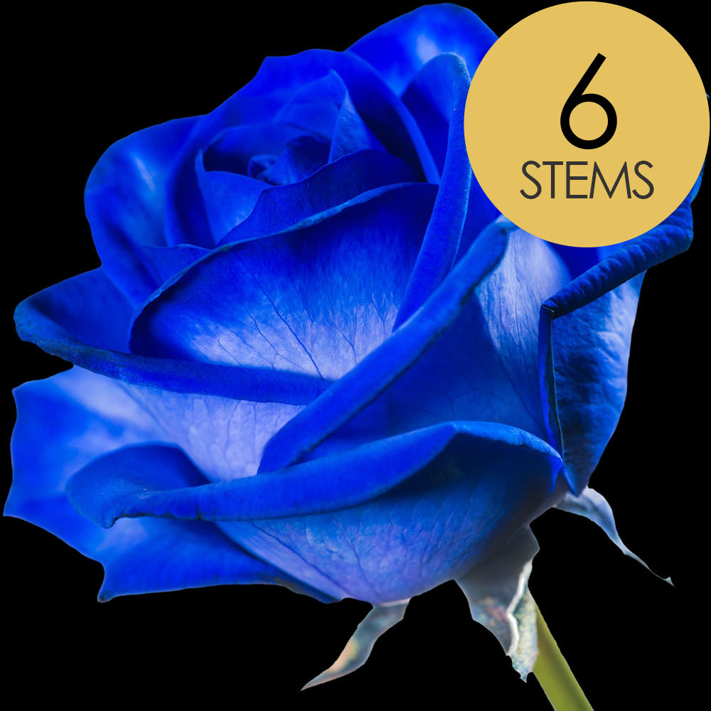 6 Blue (Dyed) Roses