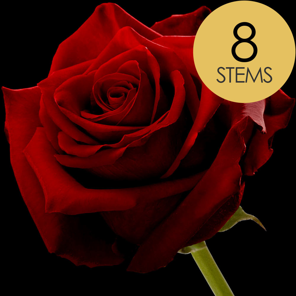 8 Red (Naomi) Roses