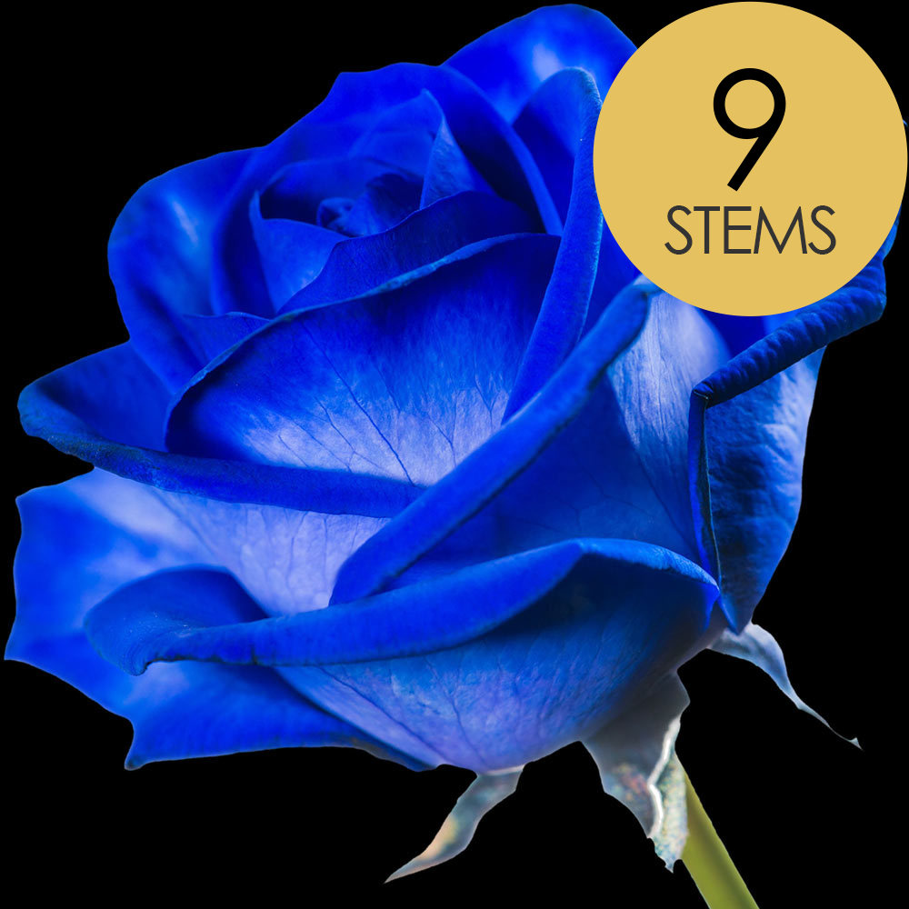 9 Blue (Dyed) Roses