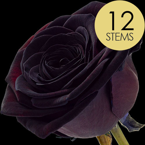 Black Rose Delivery at its finest from a real high street florist established in 1999