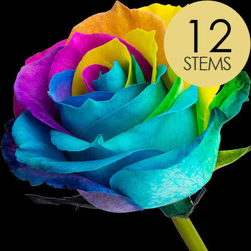 12 Happy (Rainbow) Roses