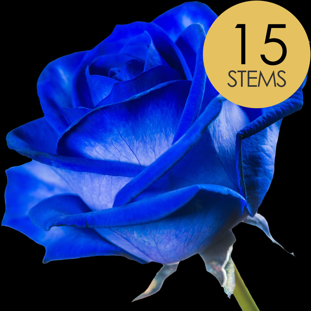 15 Blue (Dyed) Roses