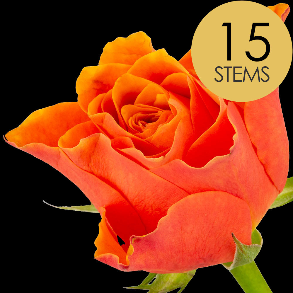 15 Orange Roses