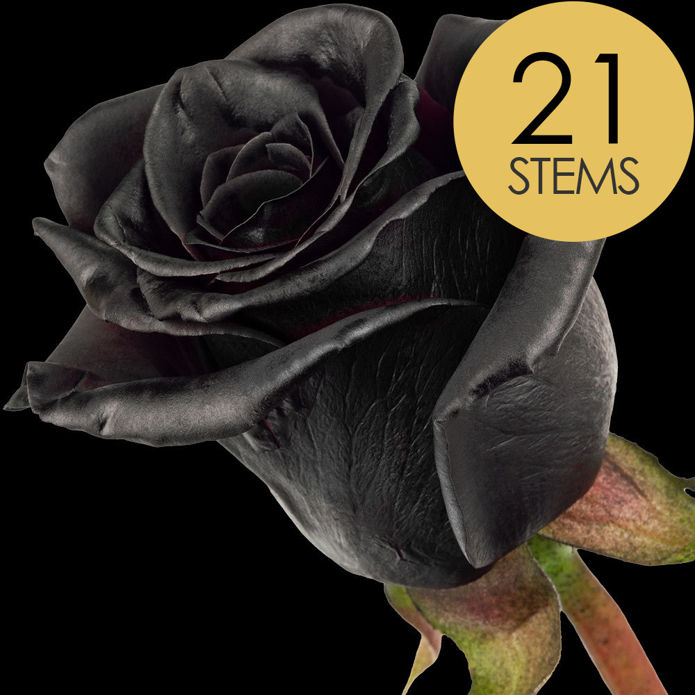 21 Black (Dyed) Roses