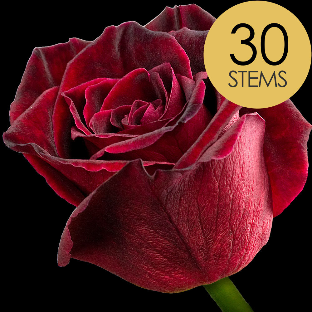 30 Black Baccara Roses