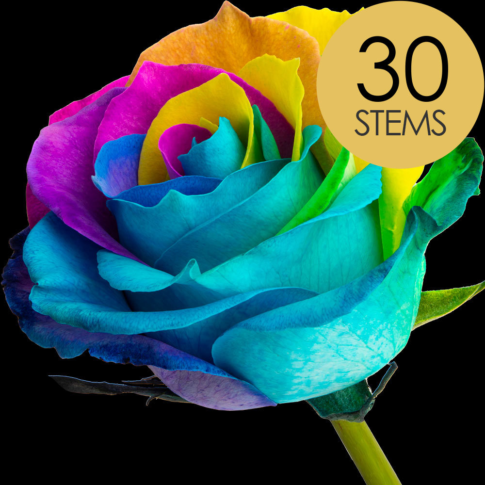 30 Happy (Rainbow) Roses