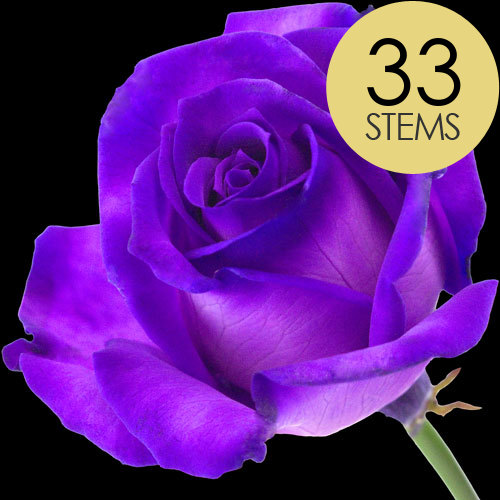 buy purple roses online