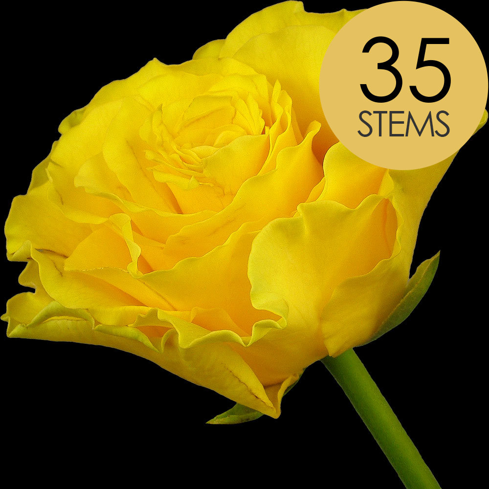 35 Yellow Roses