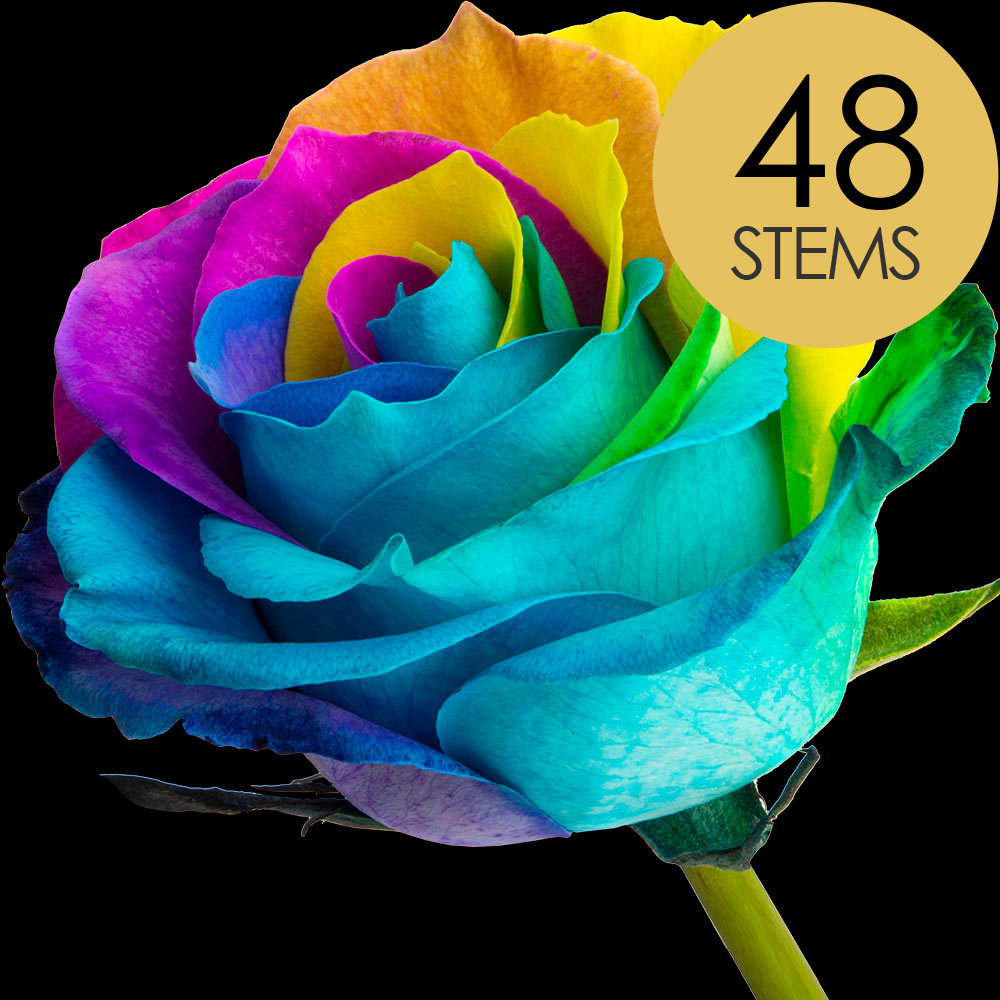 48 Happy (Rainbow) Roses