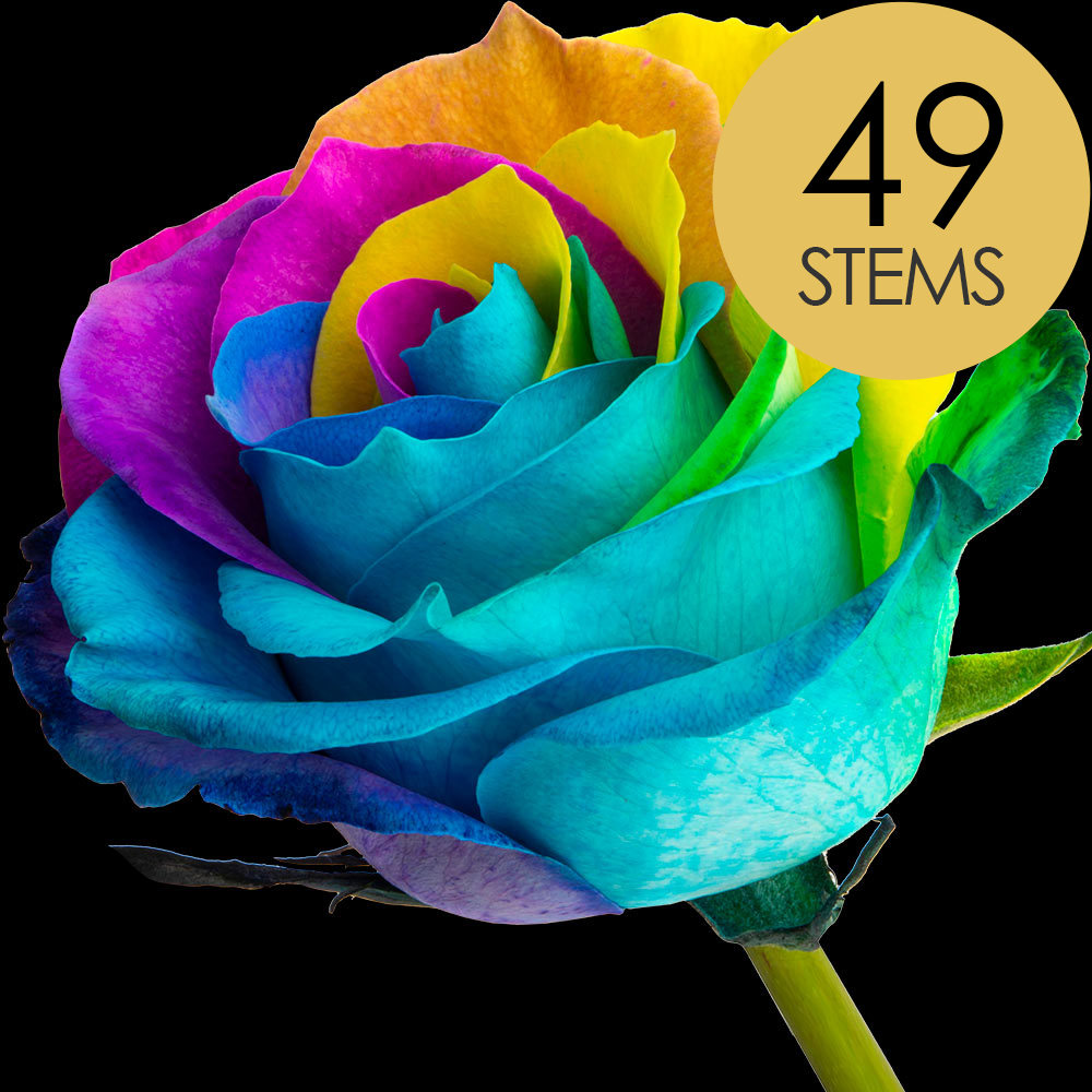 49 Happy (Rainbow) Roses