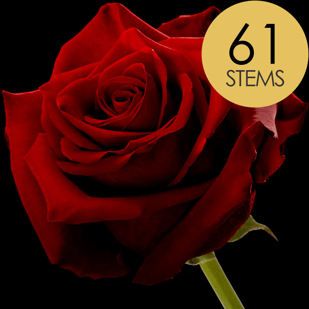 61 Red (Naomi) Roses