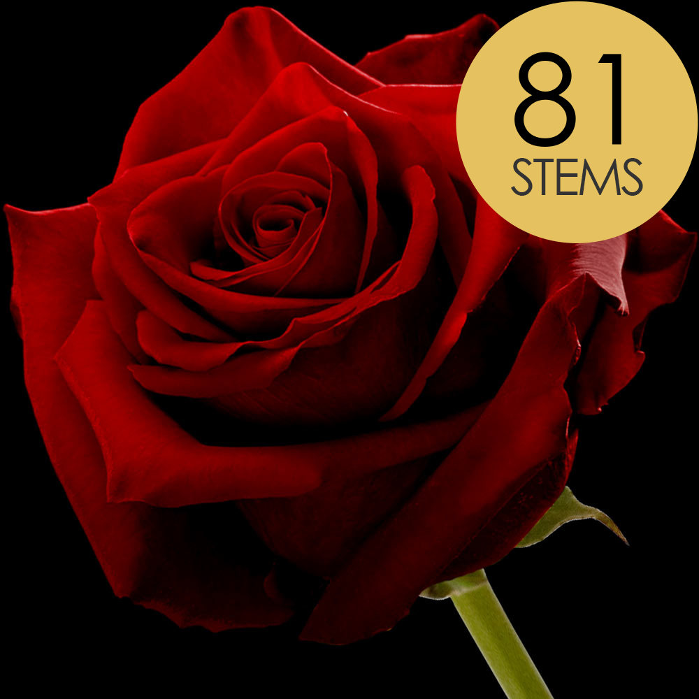 81 Red Naomi Roses