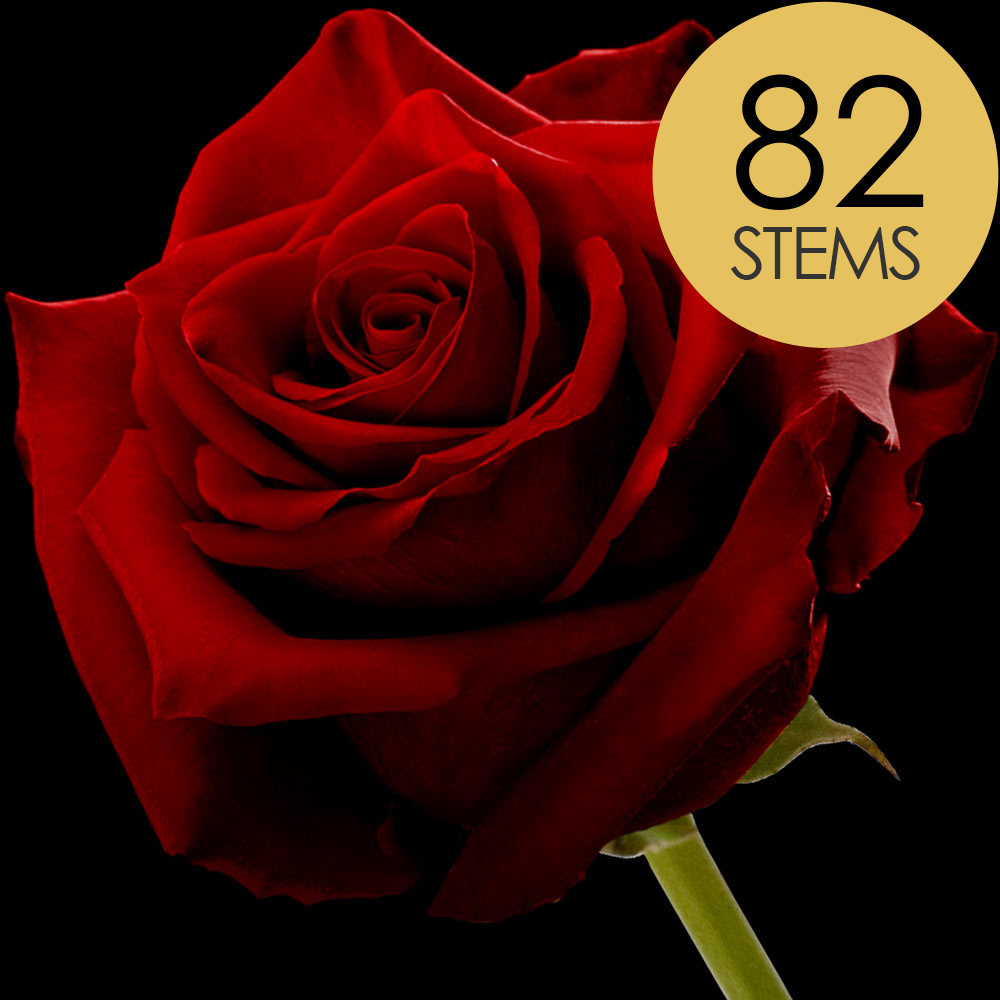 82 Red Naomi Roses