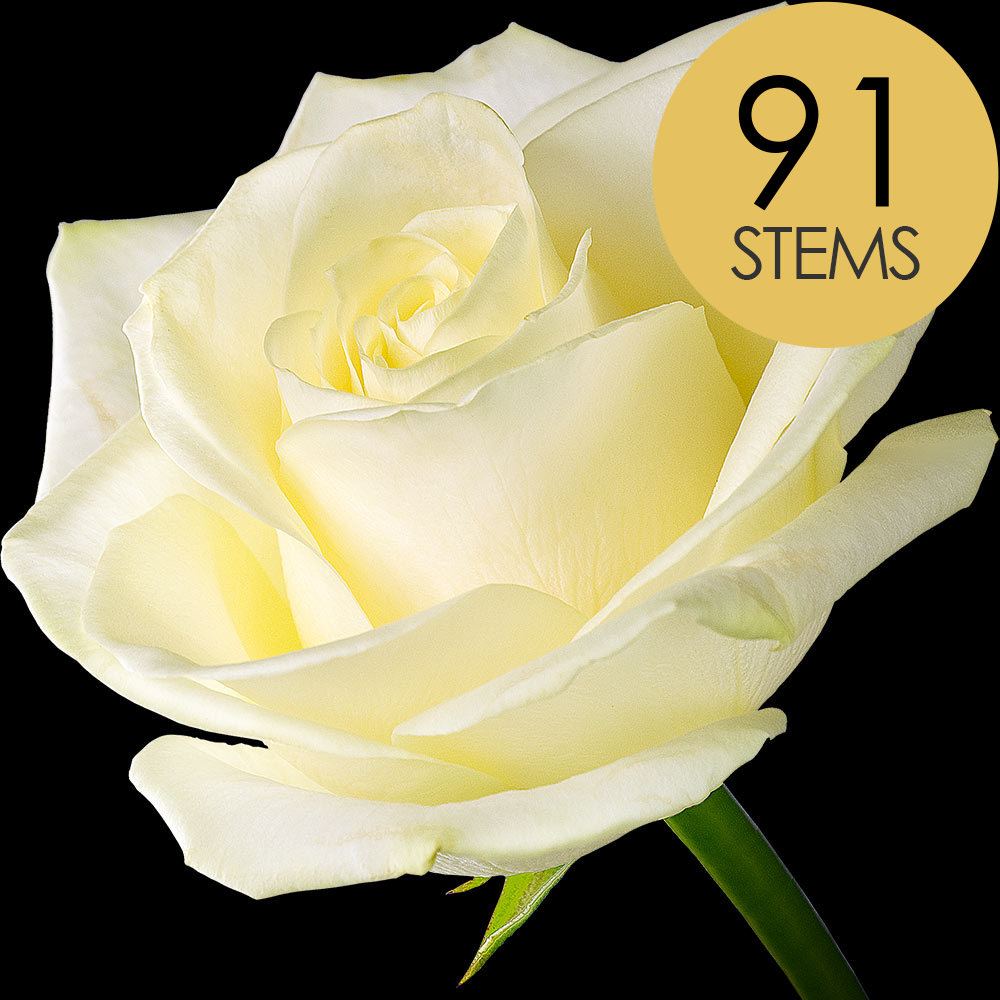 91 White Roses