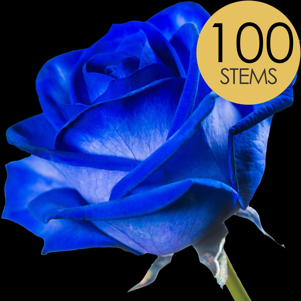 100 Blue (Dyed) Roses