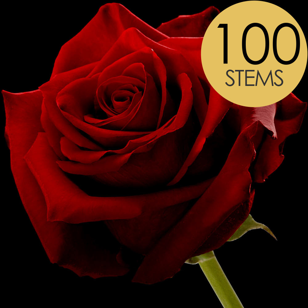 100 Red (Naomi) Roses