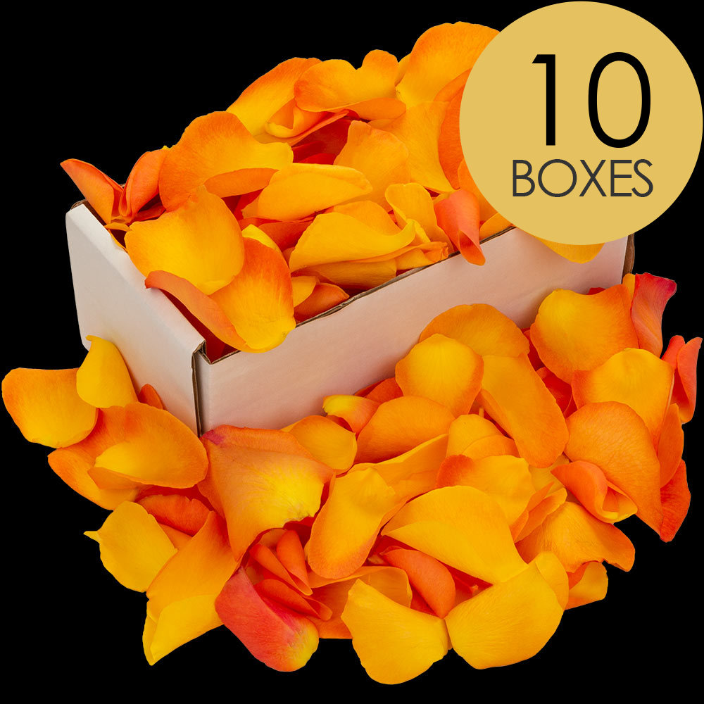 10 Boxes of Orange Rose Petals