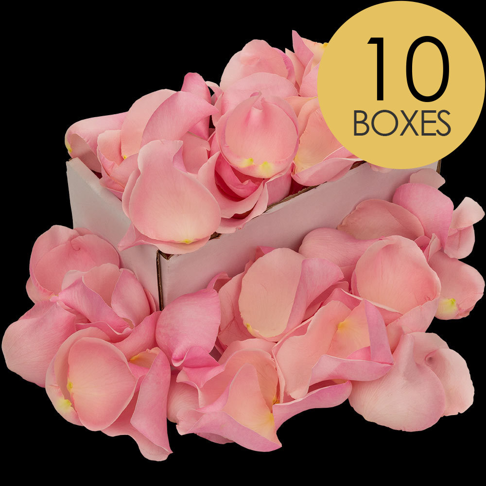 10 Boxes of Pink Rose Petals