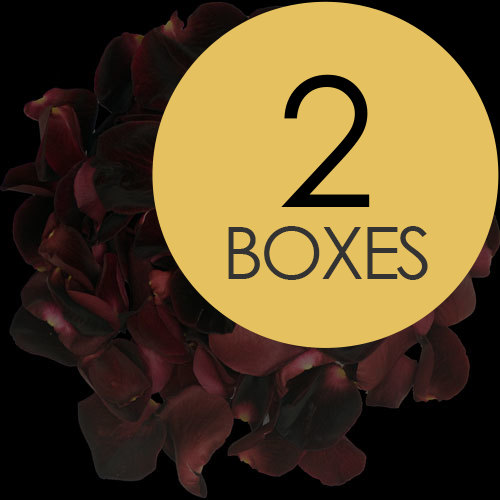 2 Boxes of Black Rose Petals
