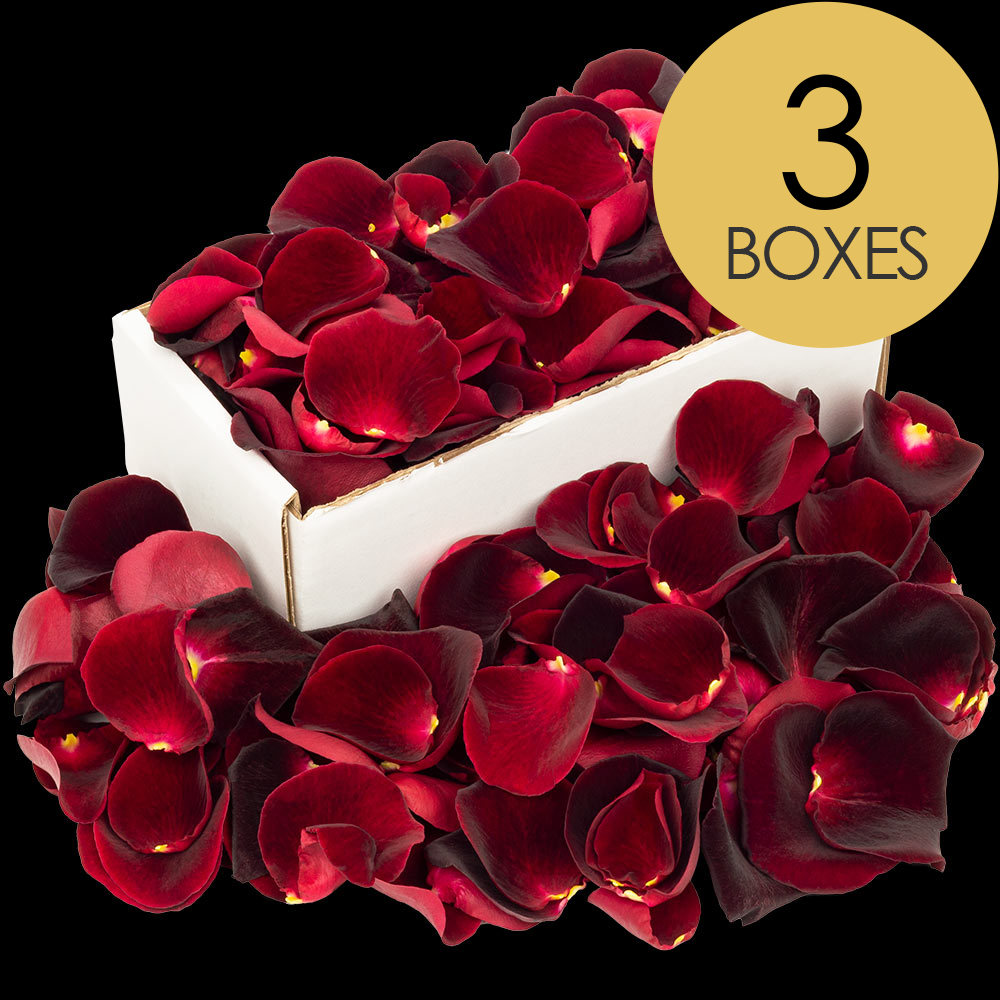 3 Boxes of Black Baccara Rose Petals