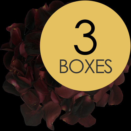 3 Boxes of Black Rose Petals