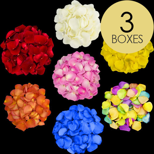 3 Boxes of Mixed Rose Petals