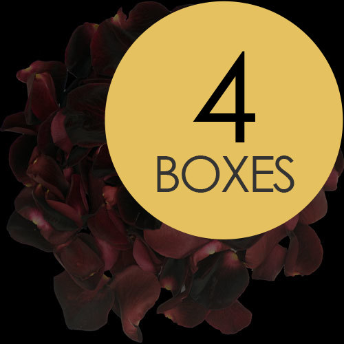 4 Boxes of Black Rose Petals