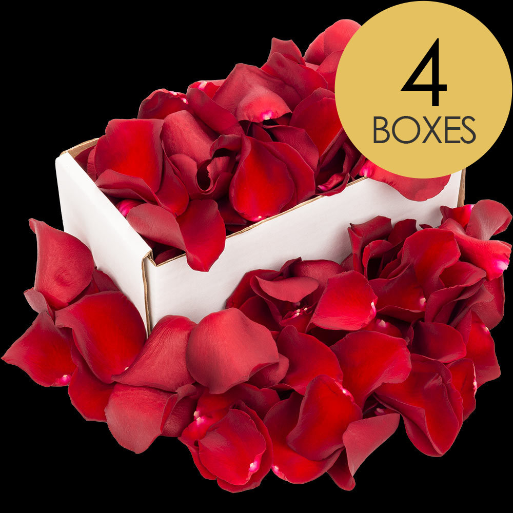 4 Boxes of Red Rose Petals