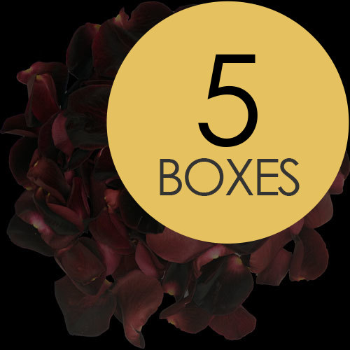 5 Boxes of Black Rose Petals
