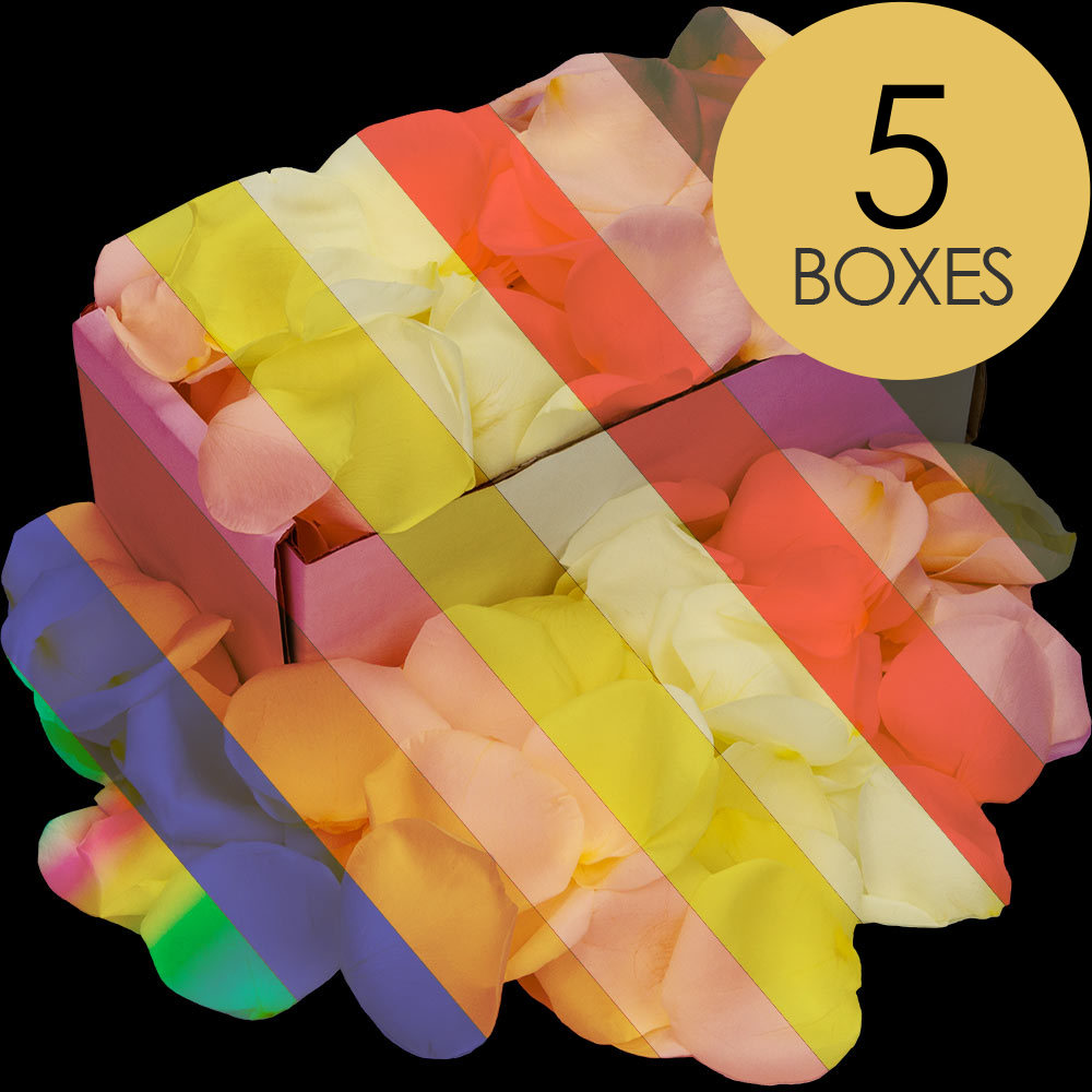 Rose Delivery at its finest From 1 to 101 Roses Infinity Roses E