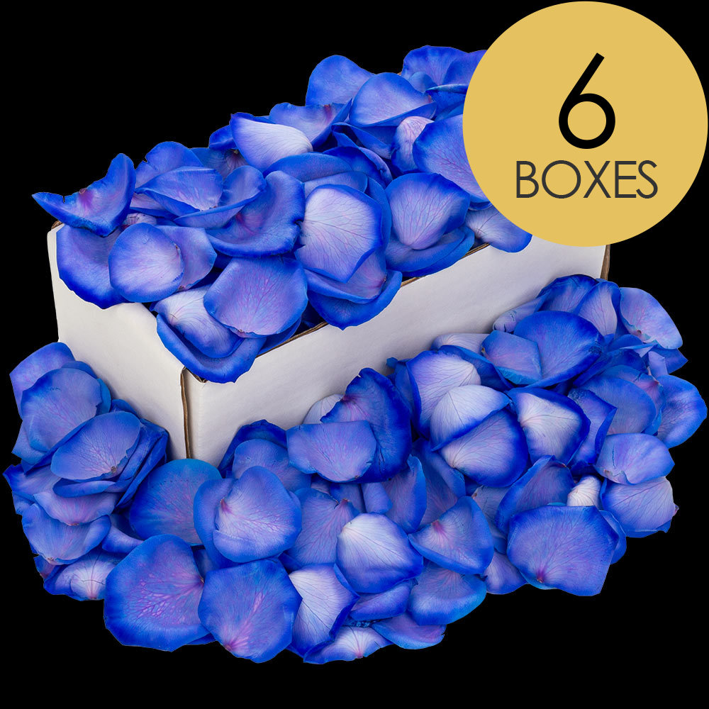 6 Boxes of Blue Rose Petals