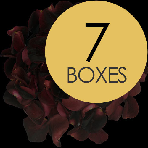 7 Boxes of Black Rose Petals