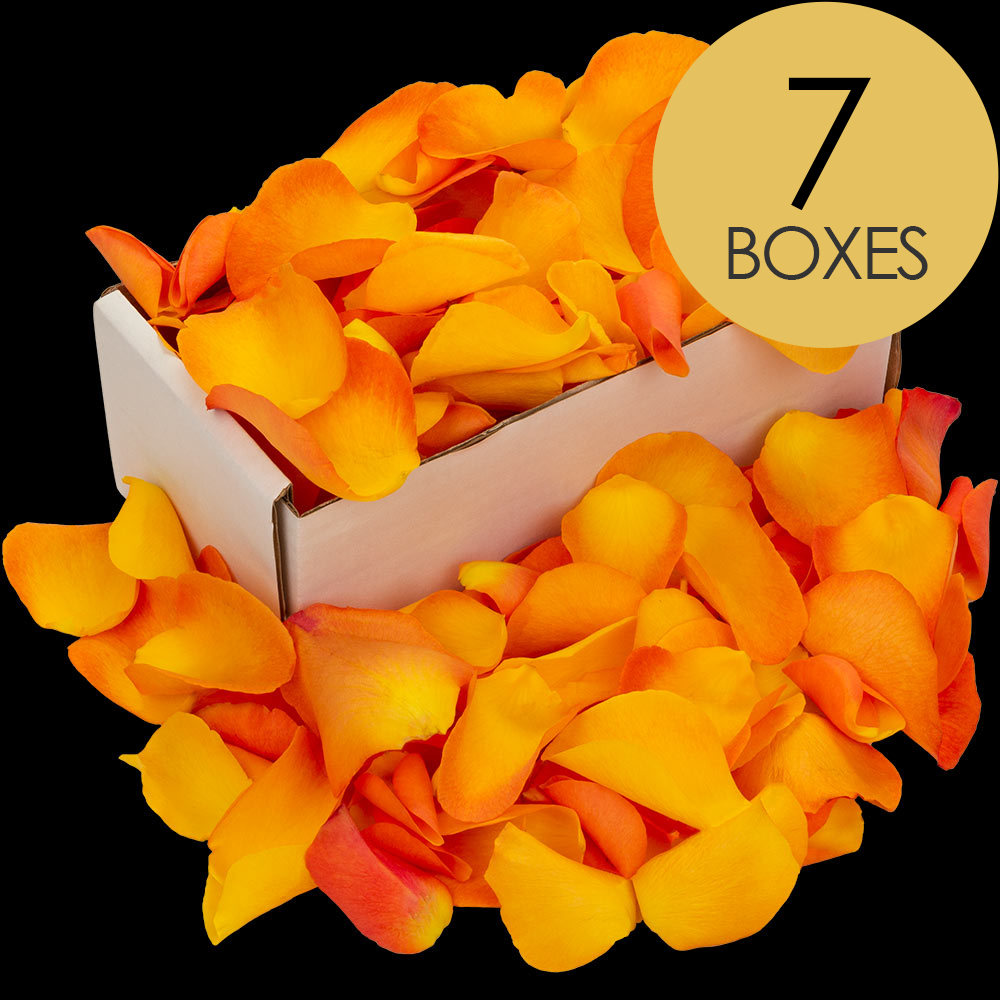 7 Boxes of Orange Rose Petals