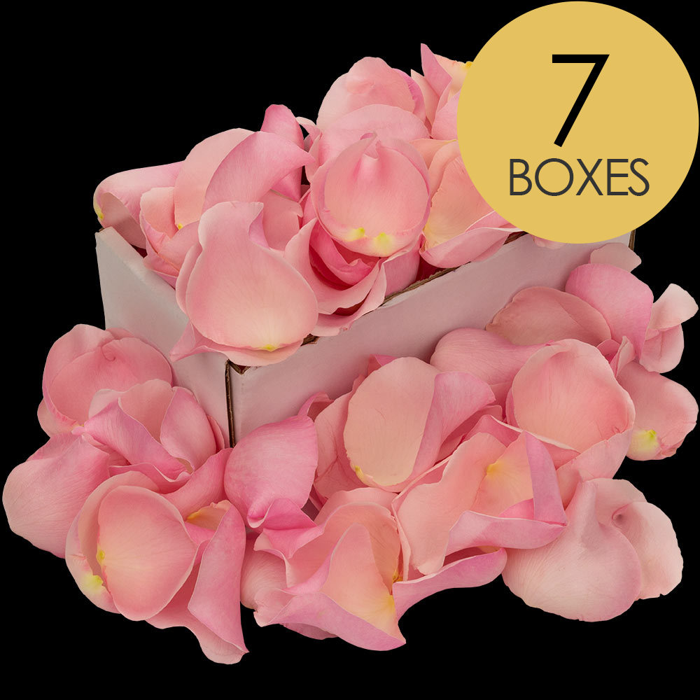 7 Boxes of Pink Rose Petals