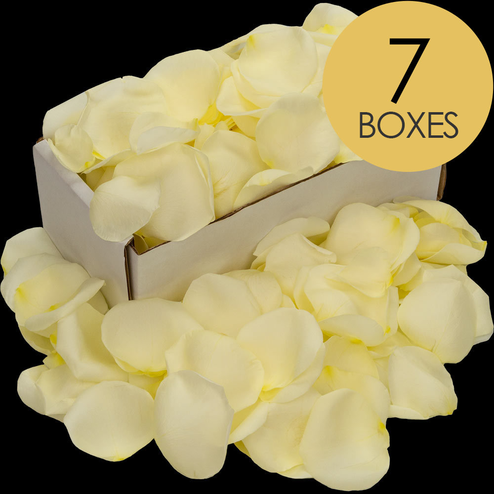 7 Boxes of White Rose Petals