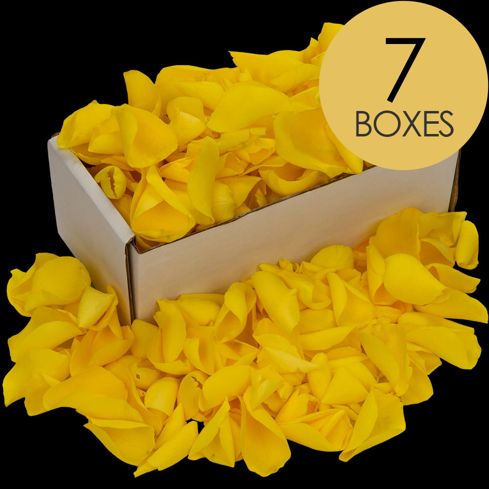 7 Boxes of Yellow Rose Petals